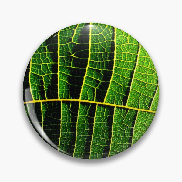 Item preview, Nature's Pathways designed and sold by Geoff Treagus.