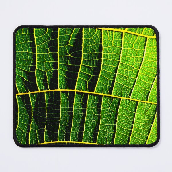 Item preview, Nature's Pathways designed and sold by Geoff Treagus.