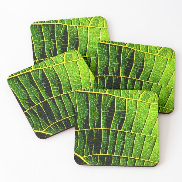 Item preview, Nature's Pathways designed and sold by Geoff Treagus.