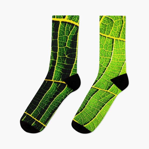 Item preview, Nature's Pathways designed and sold by Geoff Treagus.