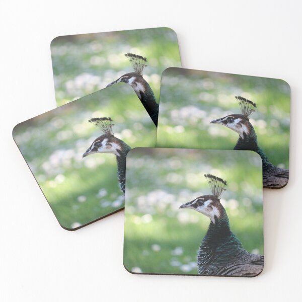 Item preview, Peahen  designed and sold by TinaLynne77.