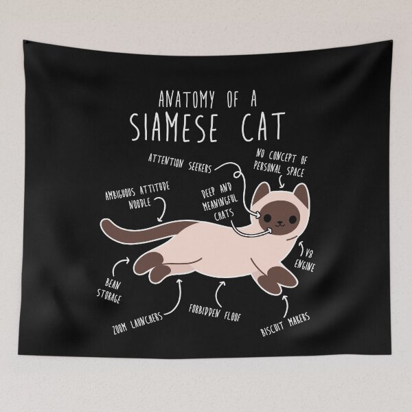 Item preview, Siamese Cat Anatomy designed and sold by Clara Hollins.