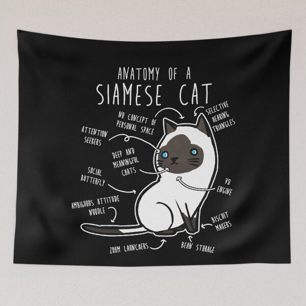 Item preview, Siamese Cat Anatomy designed and sold by Clara Hollins.
