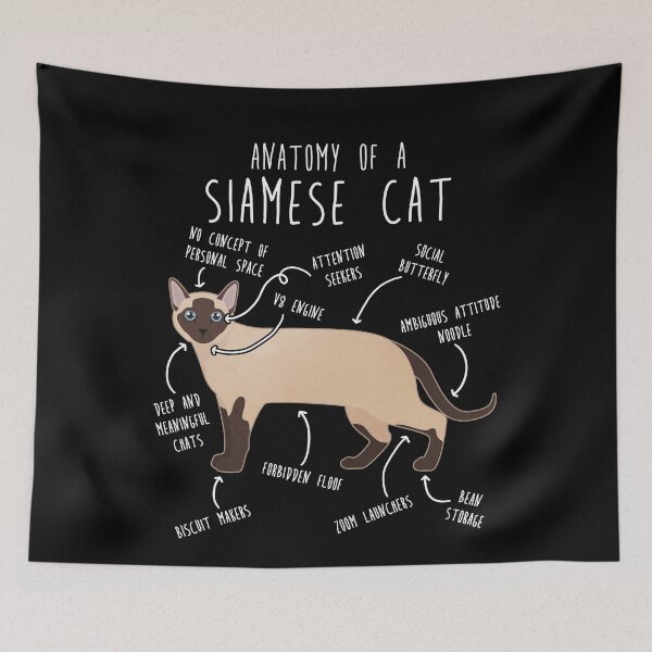 Item preview, Siamese Cat Anatomy designed and sold by Clara Hollins.