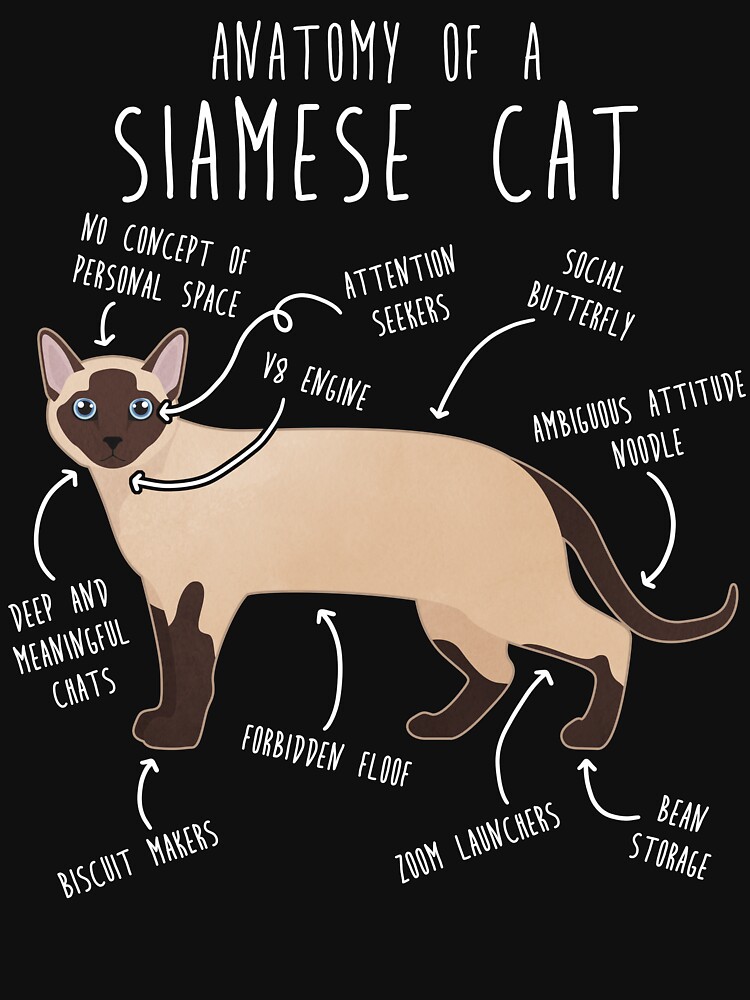 Siamese 2024 cat shirts