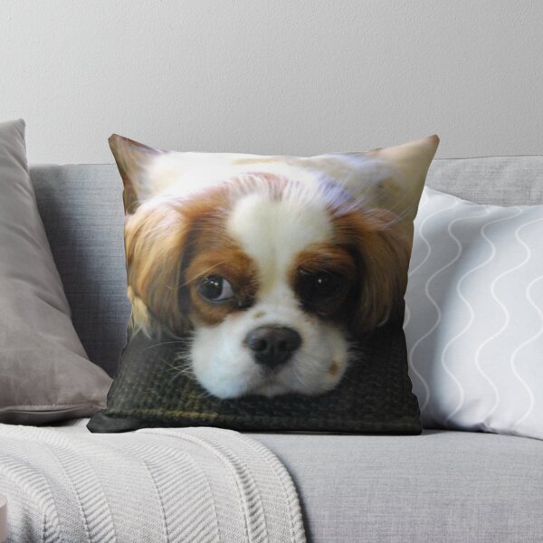 Pensive Pup Throw Pillow