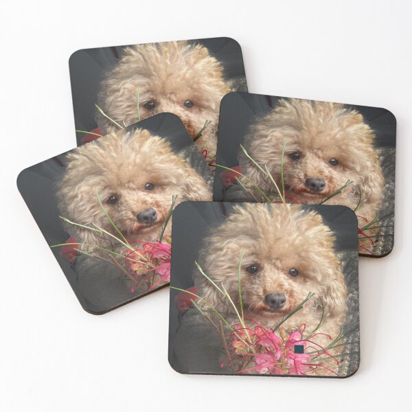 Item preview, Raffie with flowers designed and sold by Roz McQuillan Fine Art & Photography.