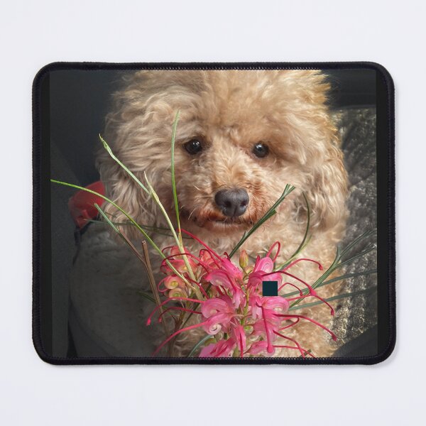 Item preview, Raffie with flowers designed and sold by Roz McQuillan Fine Art & Photography.