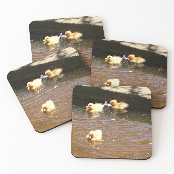Item preview, Animals, Duck, Cubs, Photography, BebiCervin designed and sold by BebiCervin.