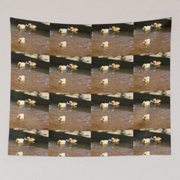 Item preview, Animals, Duck, Cubs, Photography, BebiCervin designed and sold by BebiCervin.