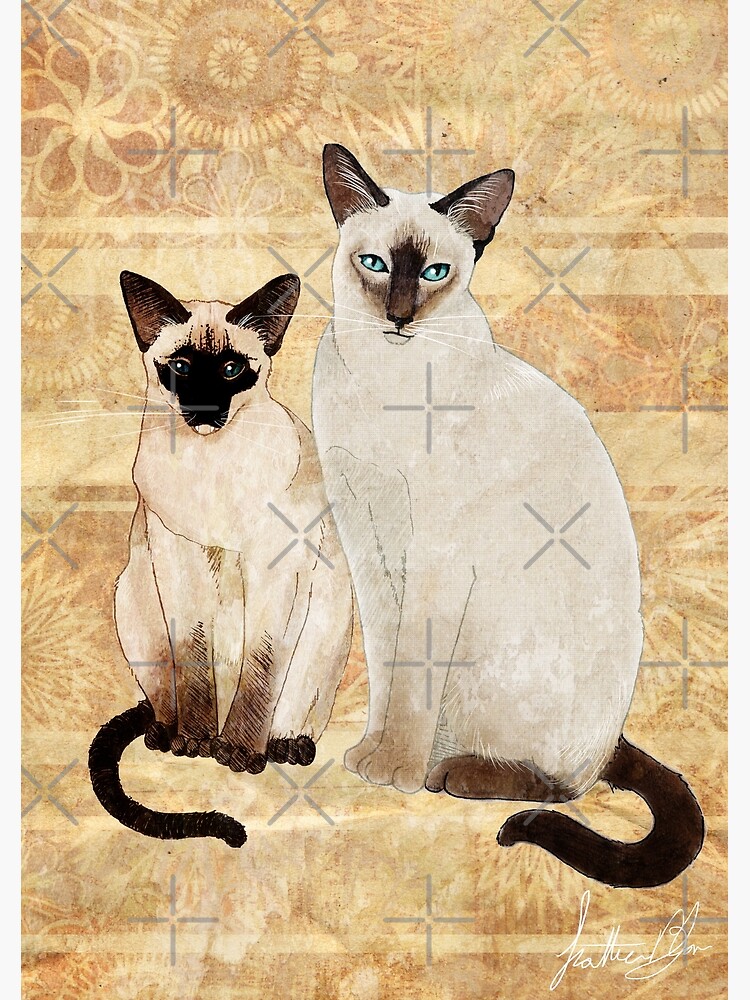 Siamese cats