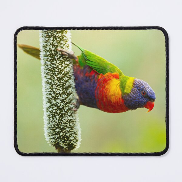 Item preview, All the Colours of the Rainbow designed and sold by CBoyle.