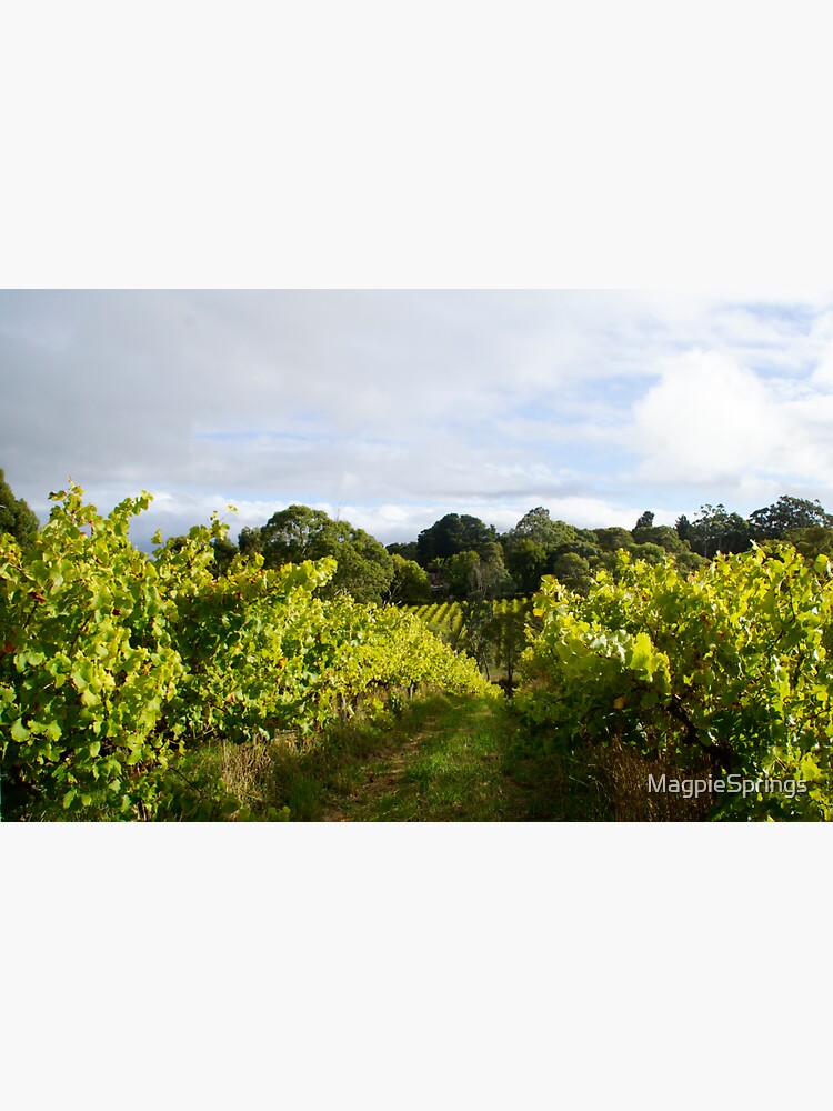 Thumbnail 3 of 3, Sticker, Vineyard by Adelaide artist Avril Thomas at Magpie Springs designed and sold by MagpieSprings.