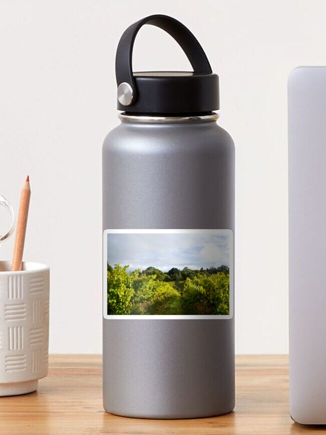 Thumbnail 1 of 3, Sticker, Vineyard by Adelaide artist Avril Thomas at Magpie Springs designed and sold by MagpieSprings.