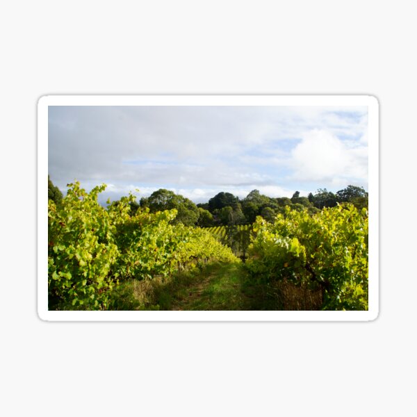 Item preview, Vineyard by Adelaide artist Avril Thomas at Magpie Springs designed and sold by MagpieSprings.