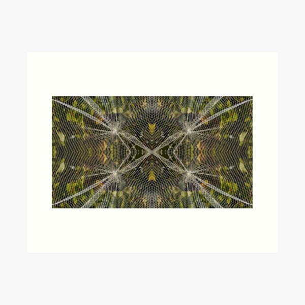 Item preview, Abstract Nets by Adelaide artist Avril Thomas at Magpie Springs designed and sold by MagpieSprings.