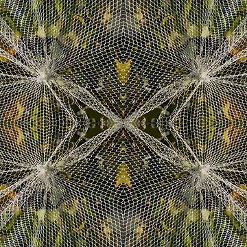 Artwork thumbnail, Abstract Nets by Adelaide artist Avril Thomas at Magpie Springs by MagpieSprings
