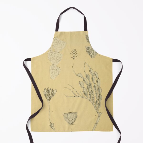 Item preview, Calpidium Ornatum (Busk) - Beautiful Marine Life Illustration designed and sold by ptMaker.