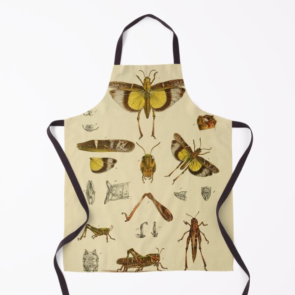 Item preview, Graceful Australian Yellow-Winged Locust Design designed and sold by ptMaker.