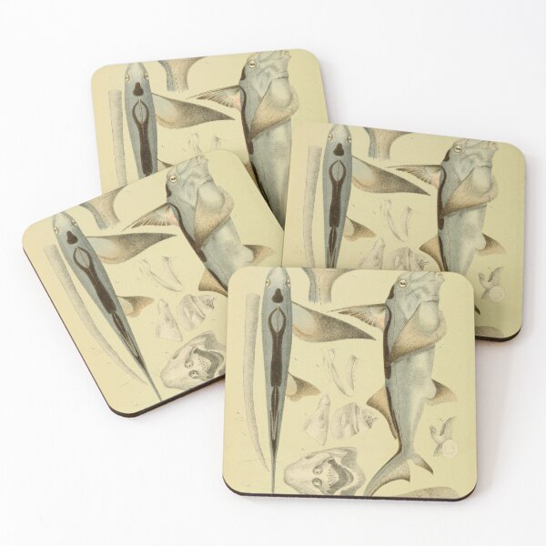 Item preview, The Southern Chimaera Callorhynchus Antarcticus designed and sold by ptMaker.