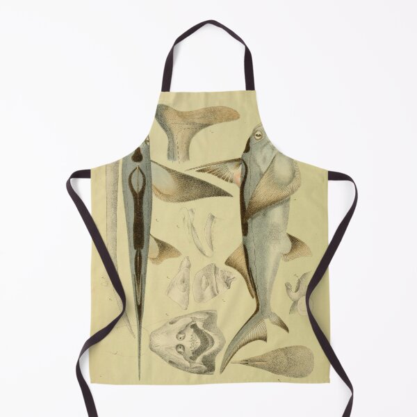 Item preview, The Southern Chimaera Callorhynchus Antarcticus designed and sold by ptMaker.