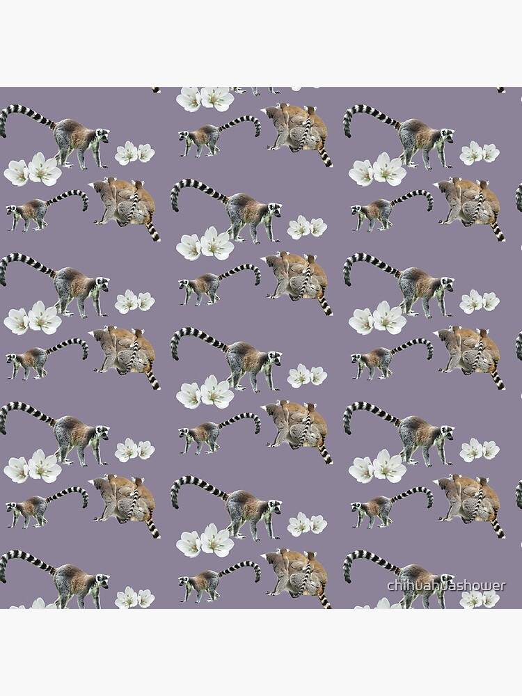 Lemur love by chihuahuashower