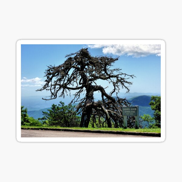 Item preview, Along The Blue Ridge Parkway designed and sold by jtrommer.