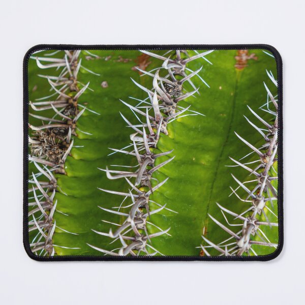 Item preview, Evil looking cacti spines designed and sold by Dalyndigital Photography.