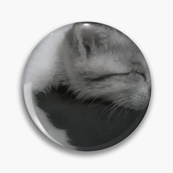 Item preview, Kitten designed and sold by HomHai.