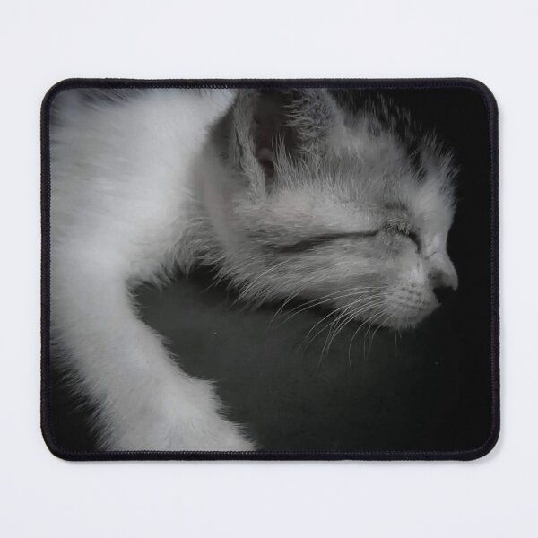 Item preview, Kitten designed and sold by HomHai.