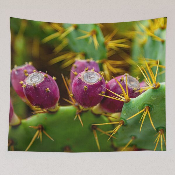 Item preview, Prickly pear fruits designed and sold by Dalyndigital Photography.