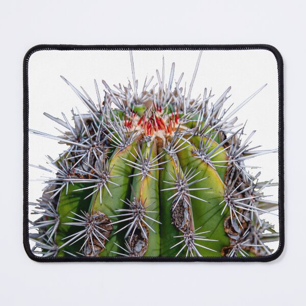 Item preview, Prickly seat cushion designed and sold by Dalyndigital Photography.
