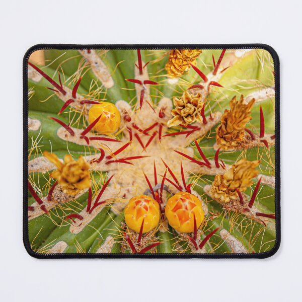 Item preview, flower buds on a cacti designed and sold by Dalyndigital Photography.