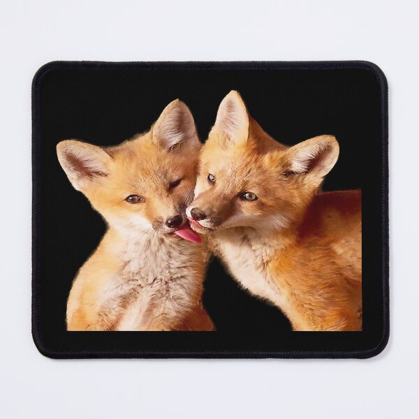 Item preview, Fox , Corsac Fox , Red Fox designed and sold by champagneci.