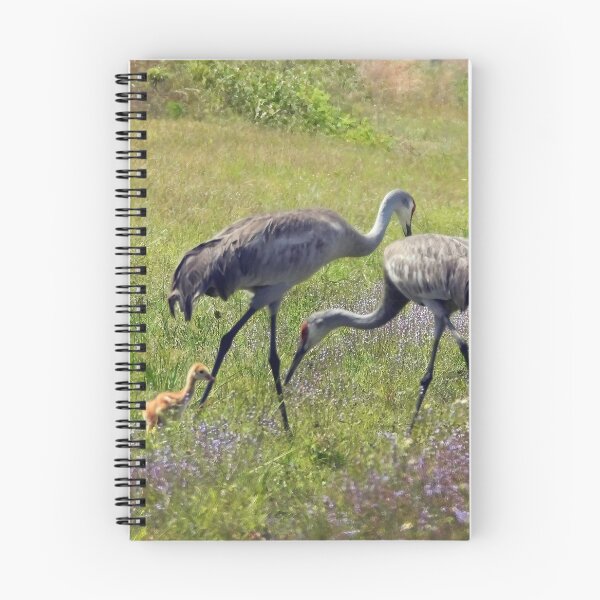 Item preview, Sandhill Cranes with Colt and purple wild flowers designed and sold by Jeffrey Mask.