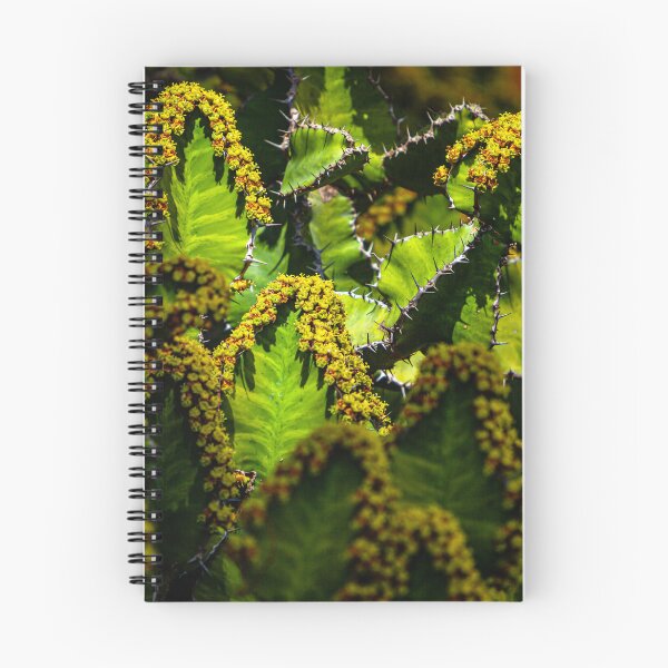 Item preview, Light outlining cacti flowers designed and sold by Dalyndigital Photography.