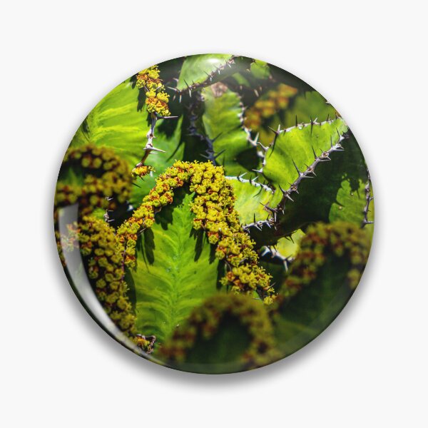 Item preview, Light outlining cacti flowers designed and sold by Dalyndigital Photography.