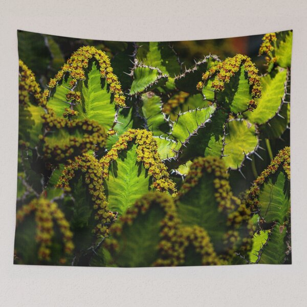 Item preview, Light outlining cacti flowers designed and sold by Dalyndigital Photography.