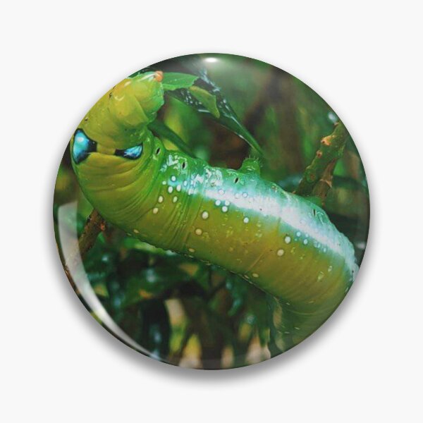 Item preview, Daphnis nerii designed and sold by HomHai.