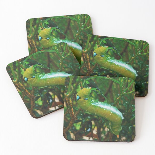 Item preview, Daphnis nerii designed and sold by HomHai.