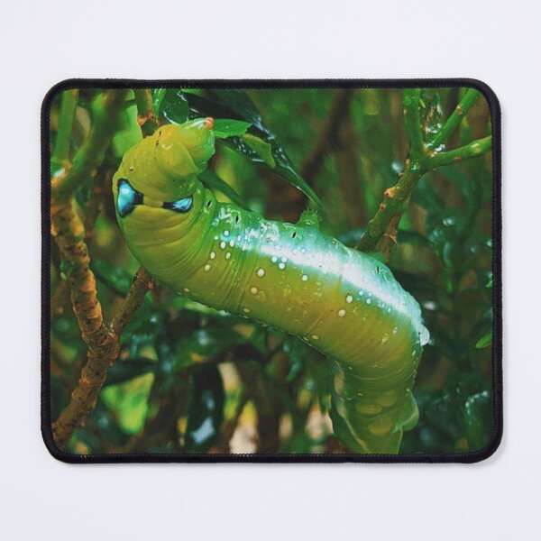 Item preview, Daphnis nerii designed and sold by HomHai.