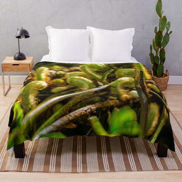 Item preview, New life springs uncurling fern fronds designed and sold by Dalyndigital Photography.