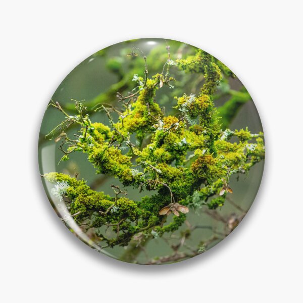 Item preview, Lichens and Moss green magic designed and sold by Dalyndigital Photography.