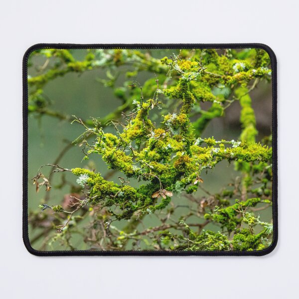 Item preview, Lichens and Moss green magic designed and sold by Dalyndigital Photography.