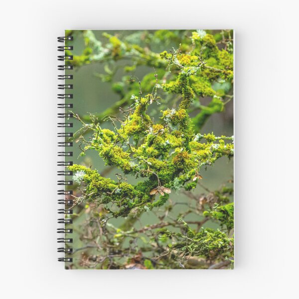 Item preview, Lichens and Moss green magic designed and sold by Dalyndigital Photography.