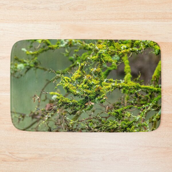 Item preview, Lichens and Moss green magic designed and sold by Dalyndigital Photography.
