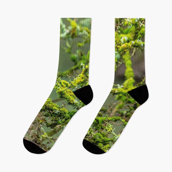 Item preview, Lichens and Moss green magic designed and sold by Dalyndigital Photography.