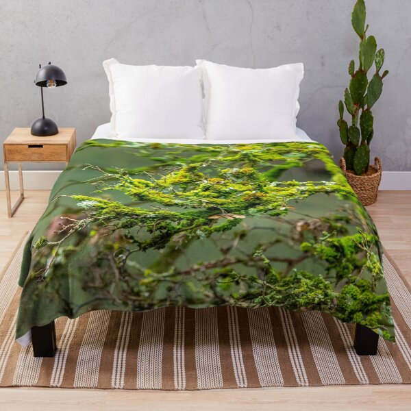 Item preview, Lichens and Moss green magic designed and sold by Dalyndigital Photography.