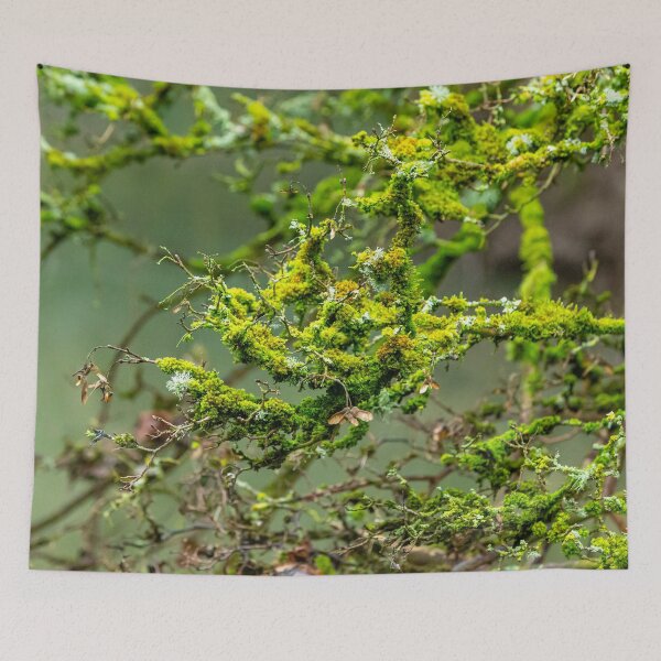 Item preview, Lichens and Moss green magic designed and sold by Dalyndigital Photography.