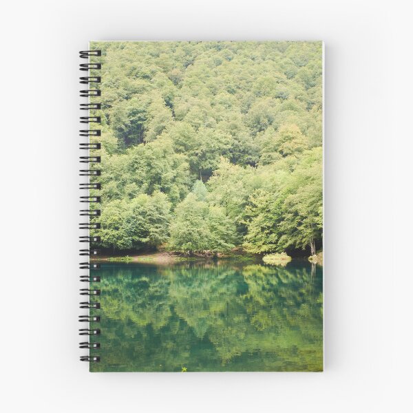 Item preview, reflection of two trees in a lake designed and sold by MeBphotography.